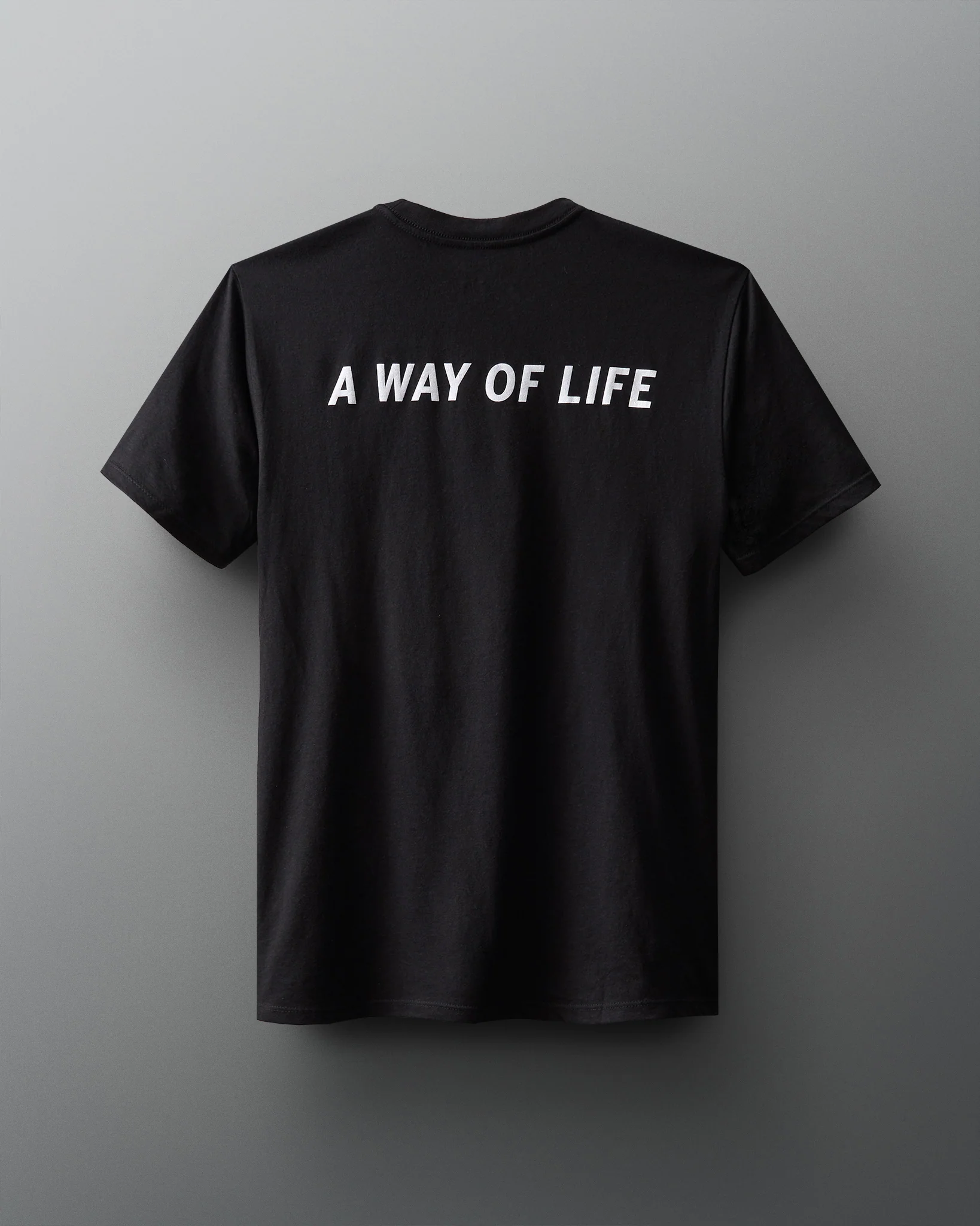 RUDIS Block Gradient T-Shirt - Image 4