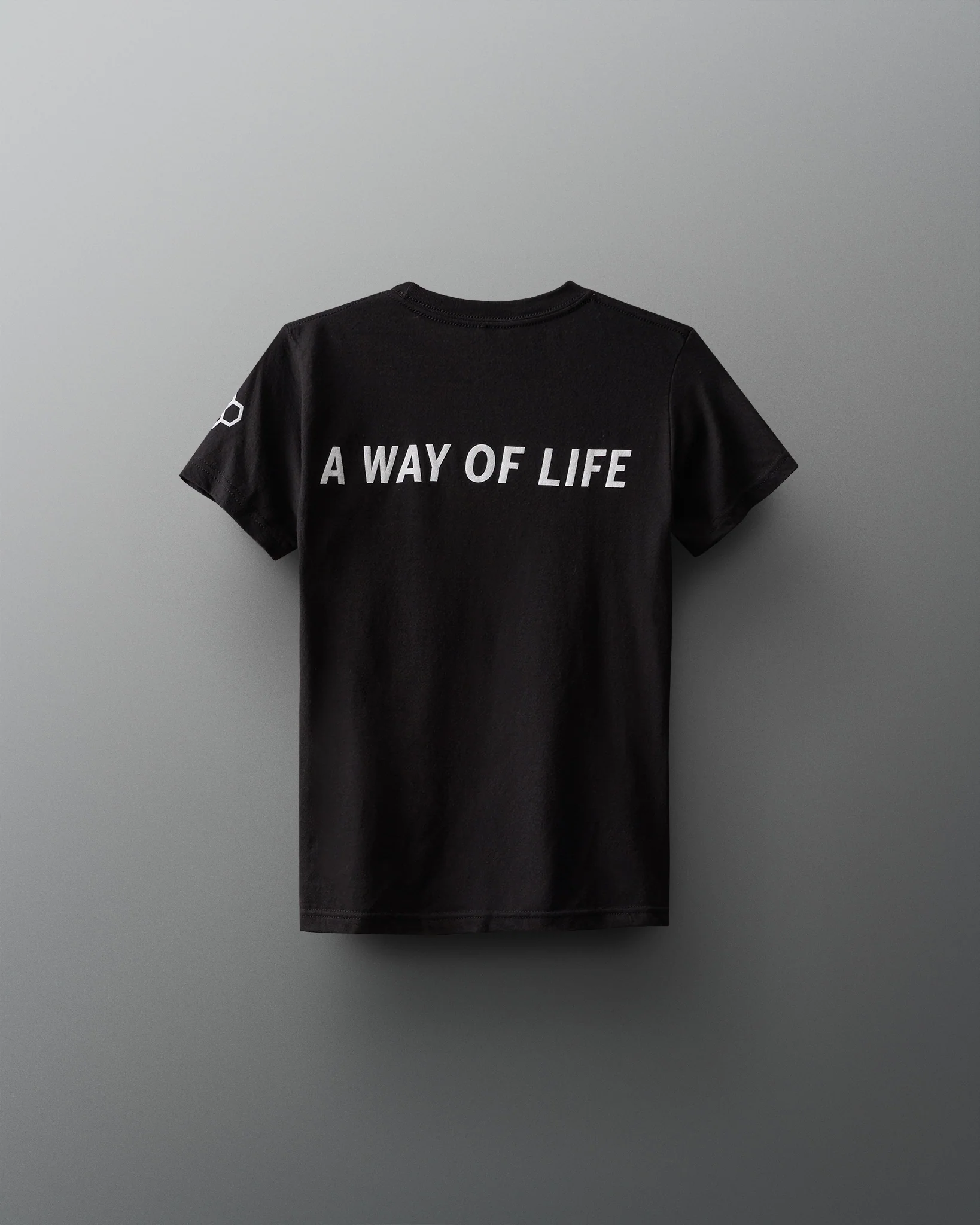 RUDIS Block Gradient Youth T-Shirt - Image 2