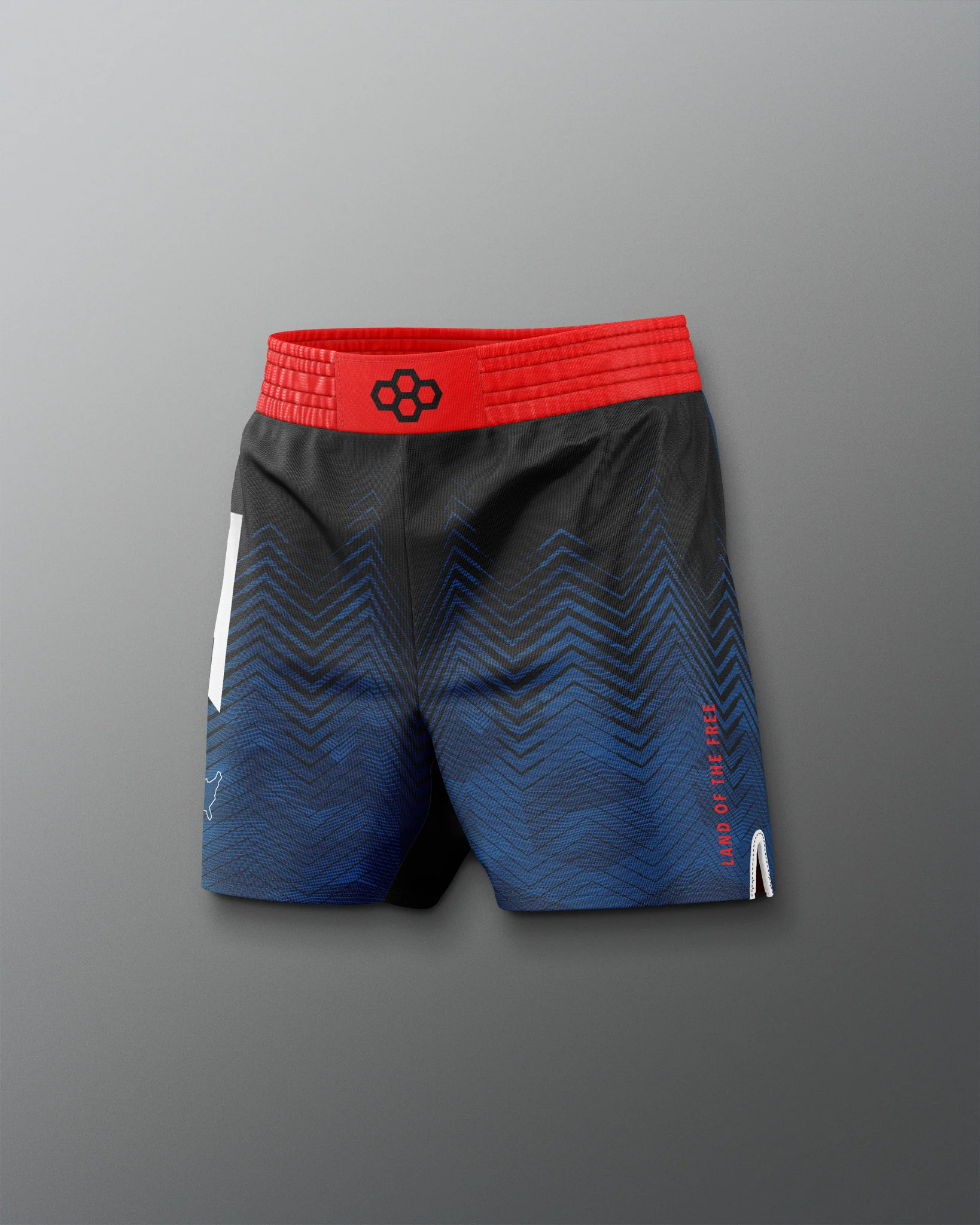 USAW Icon Sublimated Shorts - Image 5